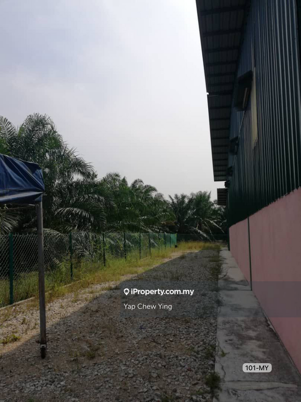 Agricultural Land for Sale in Assam Jawa, Kuala Selangor by Yap Chew Ying - iProperty.com.my