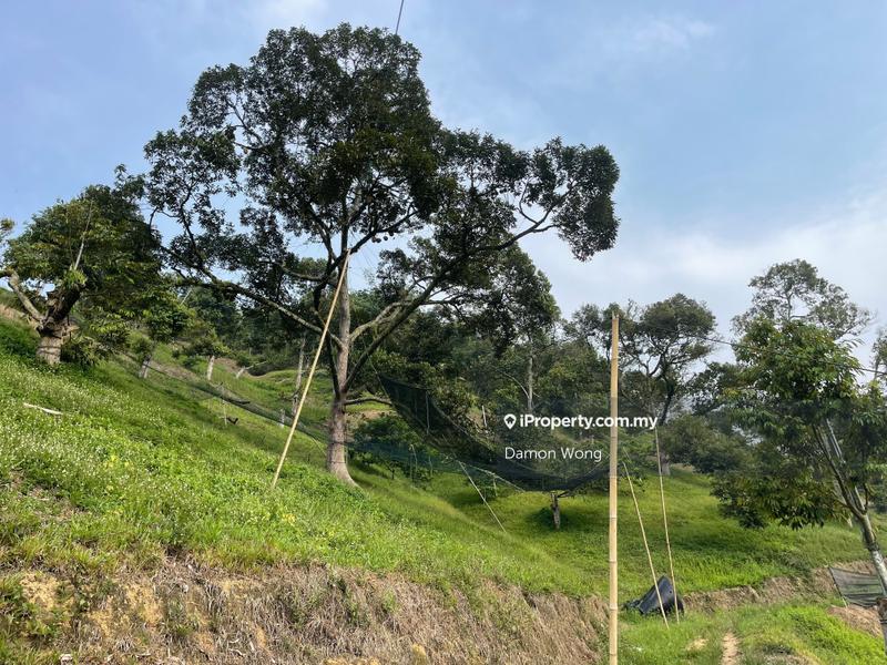 Tanah Pertanian untuk Dijual di Sungai Chetang, Raub oleh Damon Wong - iProperty.com.my