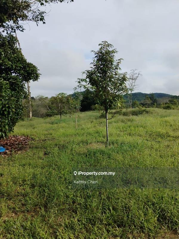 Agricultural Land for Sale in Pahang, Kuala Lipis, Kuala Lipis by Kaithly Chen - iProperty.com.my