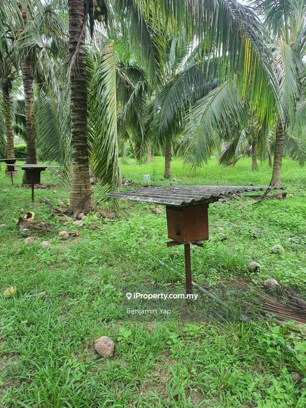 Agricultural Land for Sale in Panchor, Durian Tunggal by Benjamin Yap - iProperty.com.my