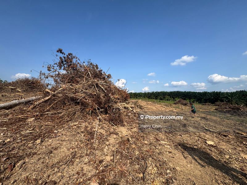 Agricultural Land for Sale in 2.56ac beside main road, Lanchang, Karak by Harry Chin - iProperty.com.my