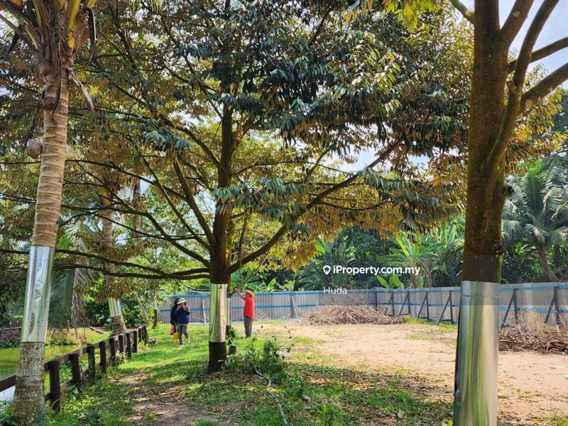 Agricultural Land for Sale in Pekan Batu 14, Hulu Langat by Huda - iProperty.com.my