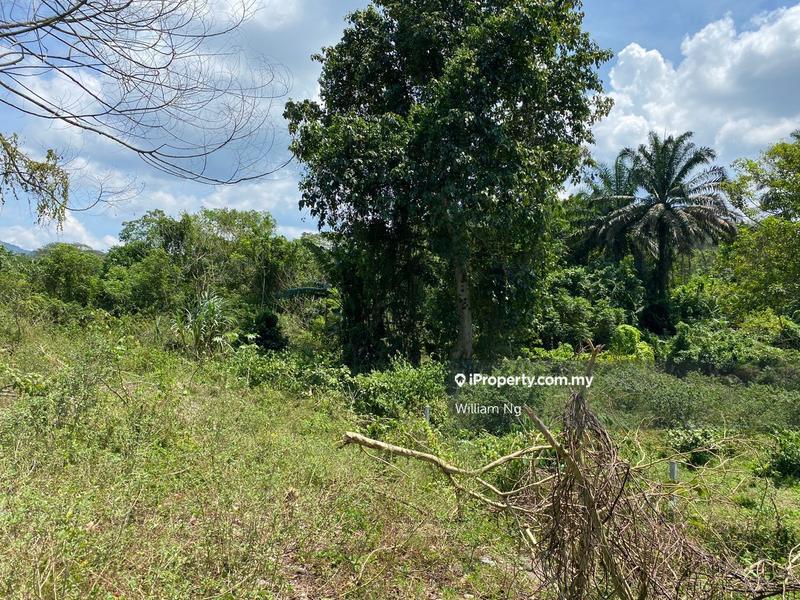 Agricultural Land for Sale in Taman Jelebu, Kuala Klawang by William Ng - iProperty.com.my