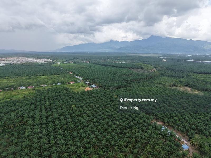 Tanah Pertanian untuk Dijual di o4snm, Gurun oleh Derrick Ng - iProperty.com.my