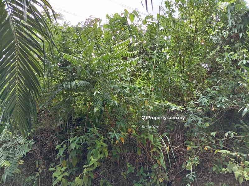 Agricultural Land for Sale in Palm Oil Plantation Along Jalan Kulim - Baling, Kulim by Kelly Yee - iProperty.com.my