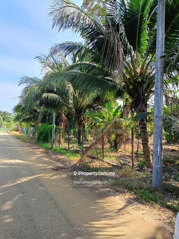 Agricultural Land for Sale in Balok, Sungai Karang by Mohammad Azizi - iProperty.com.my