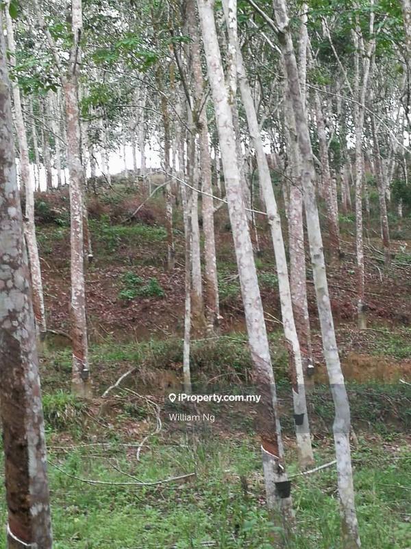 Tanah Pertanian untuk Dijual di Taman Jelebu, Kuala Klawang oleh William Ng - iProperty.com.my