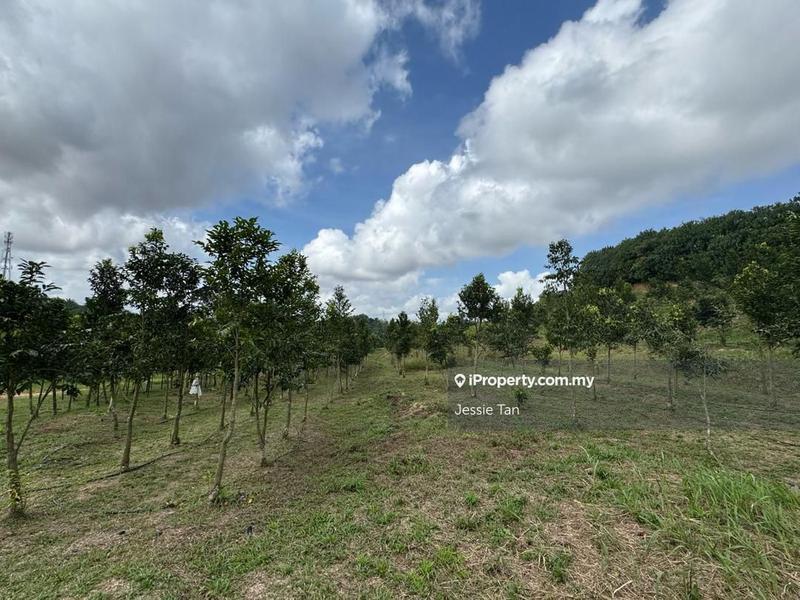 Tanah Pertanian untuk Dijual di Senai, Johor oleh Jessie Tan - iProperty.com.my