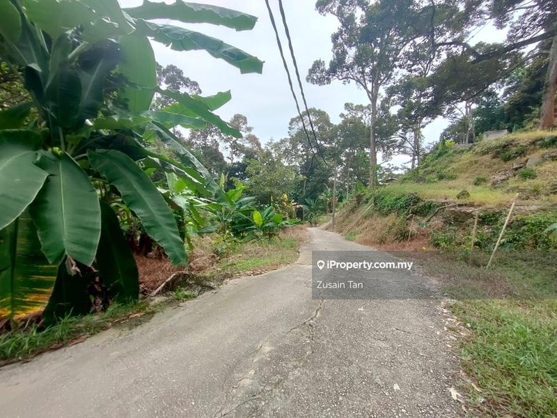 Agricultural Land for Sale in Kampung Titi Serong, Balik Pulau by Zusain Tan - iProperty.com.my