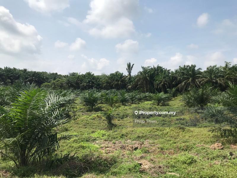 Agricultural Land for Sale in Kuala Selangor, Selangor by Philip Thien - iProperty.com.my
