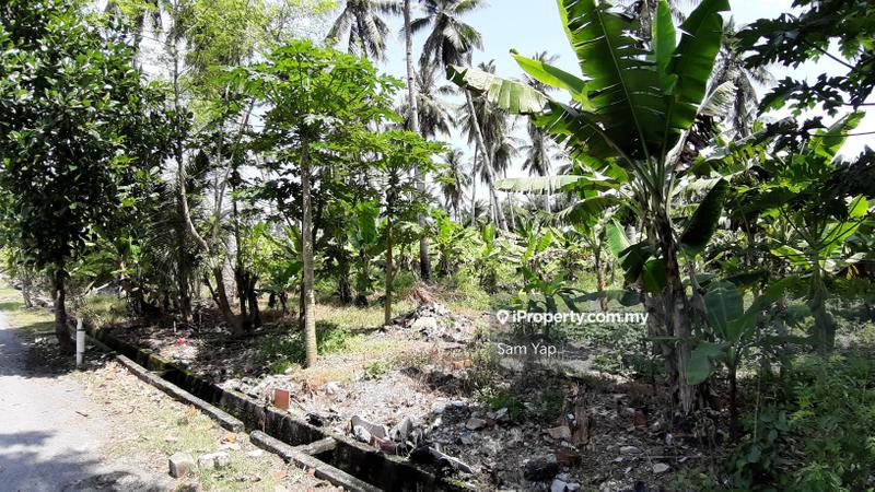 Agricultural Land for Rent in Kapar Batu 13, Klang by Sam Yap - iProperty.com.my
