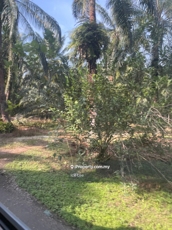 For Sale - Telok Mengkuang land for sale ,Telok Panglima Garang,kuala Langat