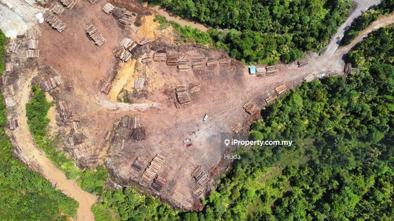 Agricultural Land for Sale in Kuala Rompin, Pahang by Huda - iProperty.com.my