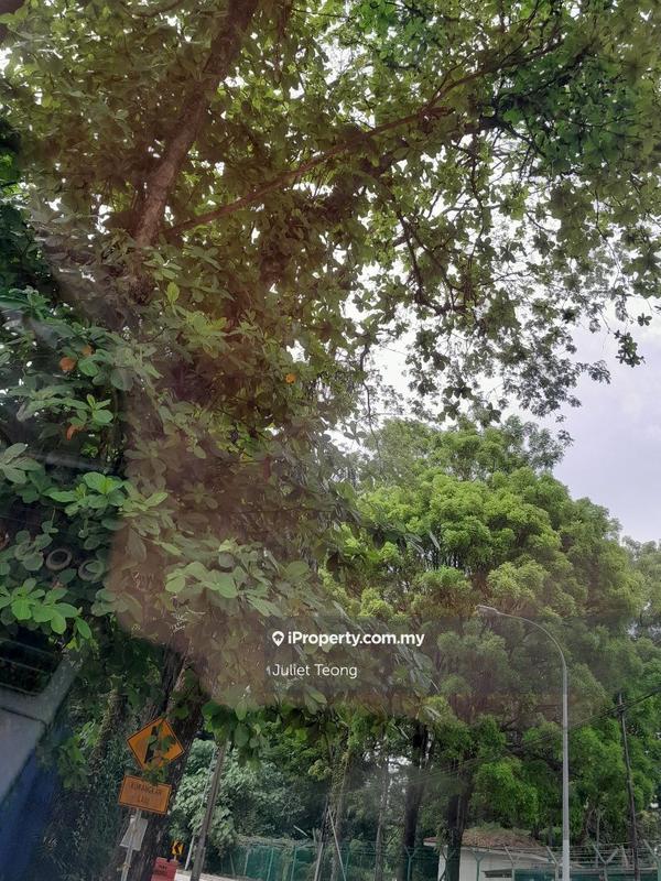 Agricultural Land for Sale in Bandar Raub Perdana, Raub by Juliet Teong - iProperty.com.my