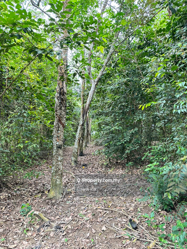 Agricultural Land for Sale in Taman Bemban Utama, Bemban by Edwin Koh - iProperty.com.my