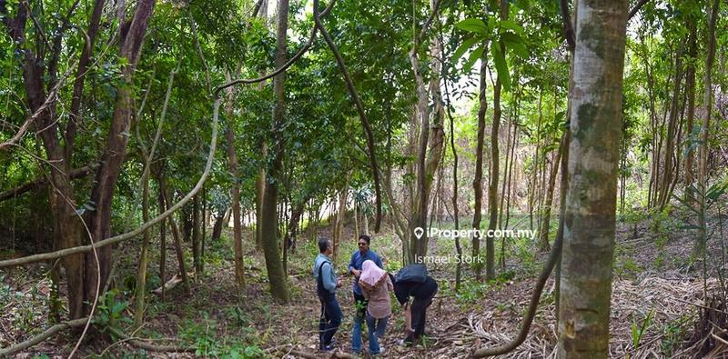 Agricultural Land for Sale in Langkawi, Kuah by Ismael Stork - iProperty.com.my