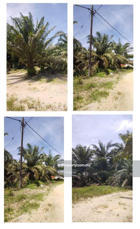 For Sale - Agricultural Land Trong, Larut, Perak