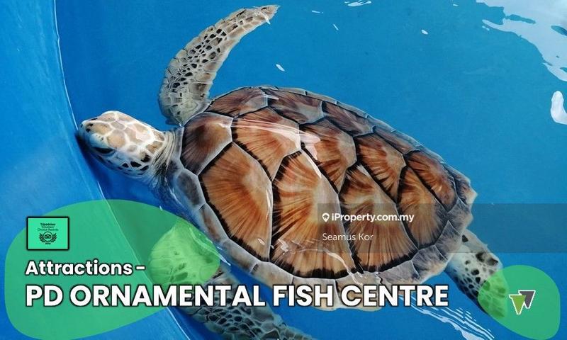 Hotel / Resort for Sale in Port Dickson, Negeri Sembilan by Seamus Kor - iProperty.com.my