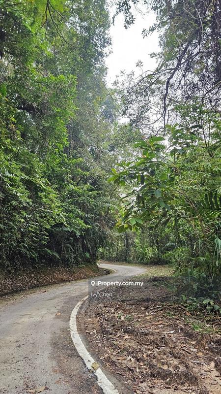 Bungalow Land for Sale in uoc71, Teras by Ivy Chen - iProperty.com.my