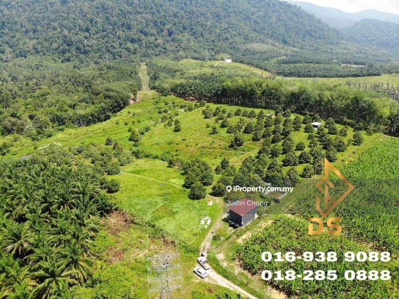 For Sale - Gerik @ Durian Farm for SALE