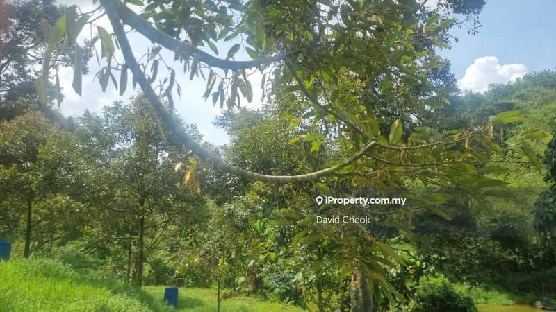 Agricultural Land for Sale in Taman Kelab Tuanku, Rantau by David Cheok - iProperty.com.my