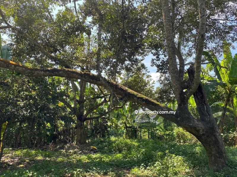 Agricultural Land for Sale in Taman Jelebu, Kuala Klawang by William Ng - iProperty.com.my