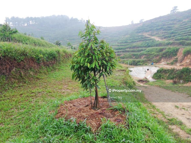 Agricultural Land for Sale in Taman Ampang Pecah, Kuala Kubu Bharu by Janet Ng - iProperty.com.my