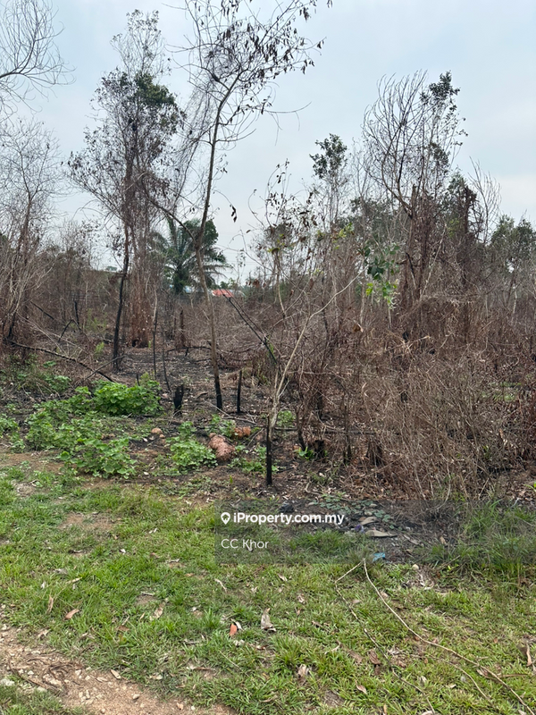 Tanah Kediaman untuk Dijual di Kuala Nerus, Kuala Terengganu oleh CC Khor - iProperty.com.my