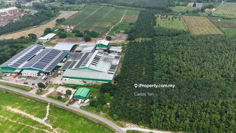 For Sale - Kampung Kedundung
