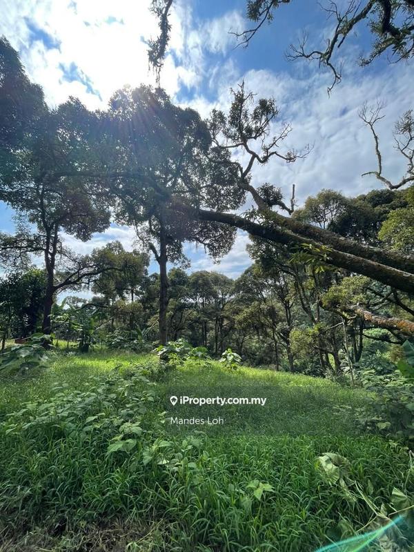 Agricultural Land for Sale in Bandar Bukit Mahkota , Seri Putra , Nilai, Kajang by Mandes Loh - iProperty.com.my