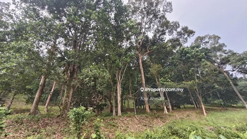Tanah Pertanian untuk Dijual di Pekan Batu 14, Hulu Langat oleh Aziz Ahmad - iProperty.com.my