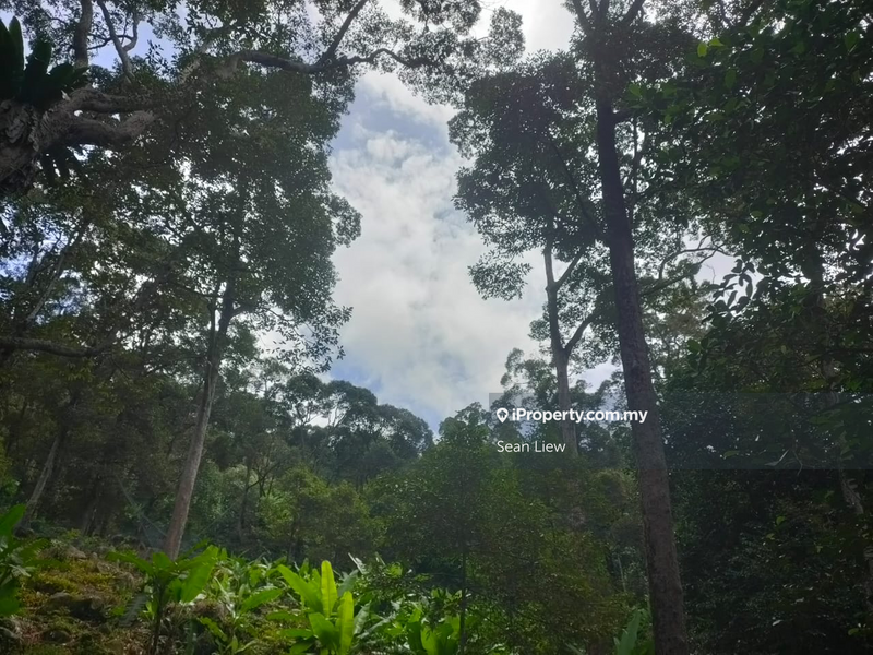 Agricultural Land for Sale in Pulau Penang, Bayan Lepas by Sean Liew - iProperty.com.my