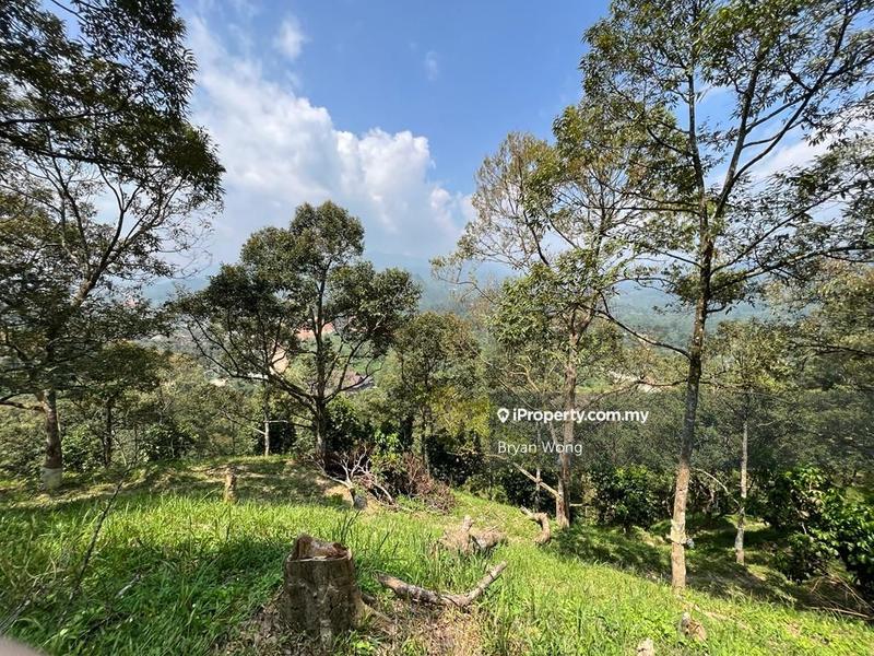 Tanah Pertanian untuk Dijual di Taman Bukit Tinggi, Bentong oleh Bryan Wong - iProperty.com.my