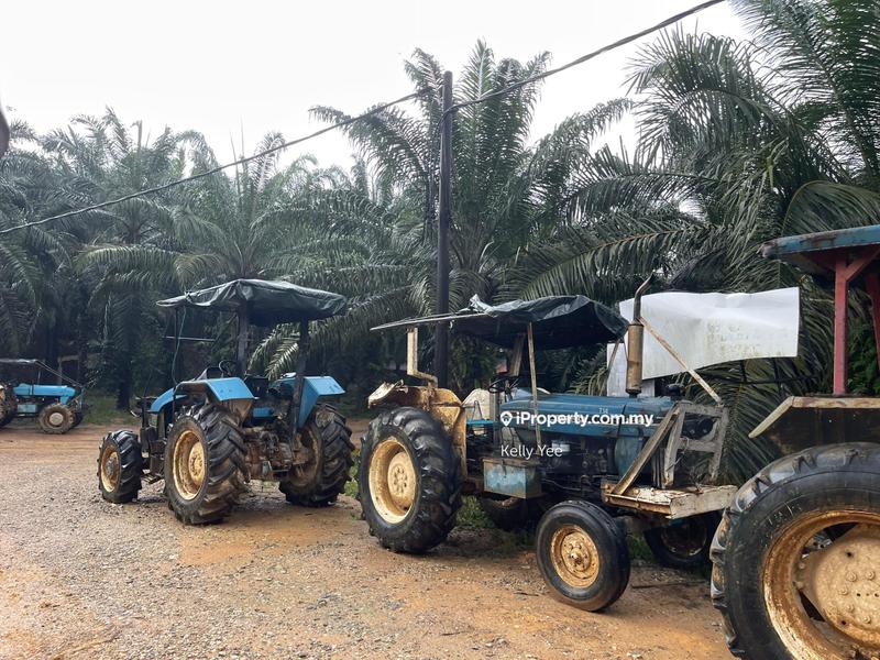 Agricultural Land for Sale in Palm Oil Plantation @ Ulu Lepar, Kuantan for Sale, Kuantan by Kelly Yee - iProperty.com.my