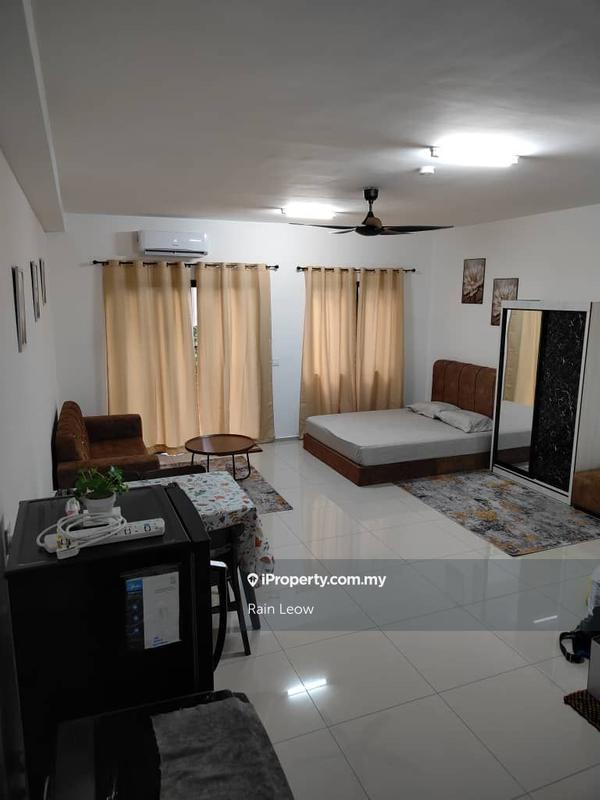 For Sale - One Equine