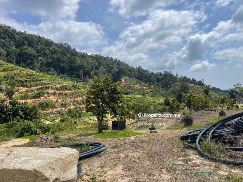 Agricultural Land for Sale in Karak, Bentong by Damon Wong - iProperty.com.my
