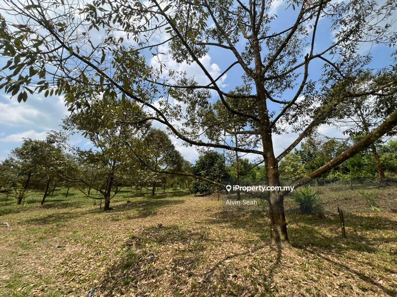 Tanah Pertanian untuk Dijual di Senai, Johor oleh Alvin Seah - iProperty.com.my