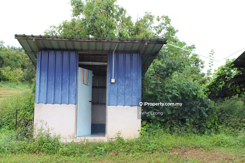 Agricultural Land for Sale in Kampung Selandar, Selandar by Irene Leong - iProperty.com.my
