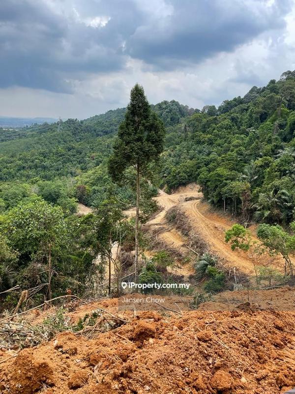 Agricultural Land for Sale in Seremban Ampangan, Kampung Panchur 15acres land, Seremban by Jansen Chow - iProperty.com.my