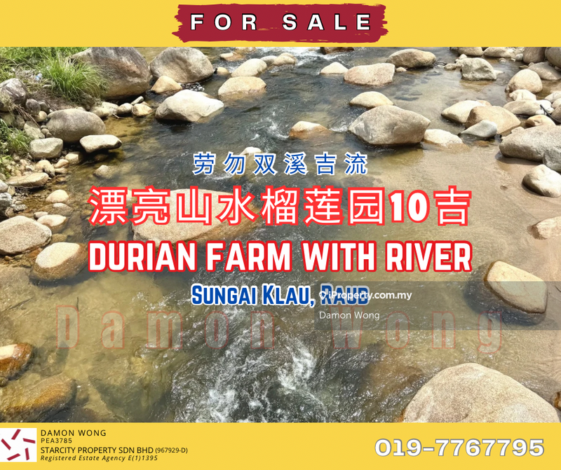 For Sale - 10 acres durian with nice river