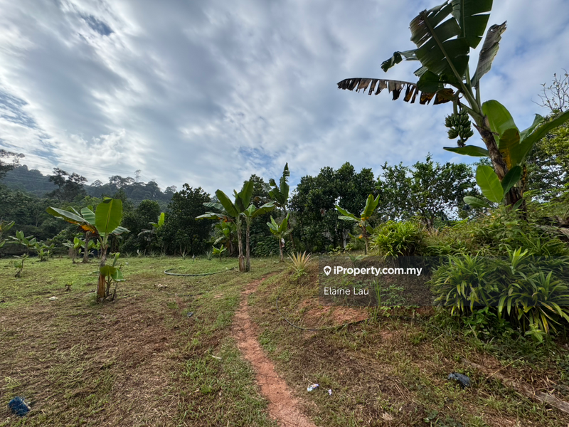 For Sale - Agriculture Land