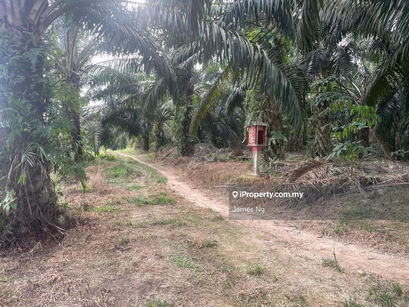 Agricultural Land for Sale in Karak,Pahang, Kuantan by James Ng - iProperty.com.my