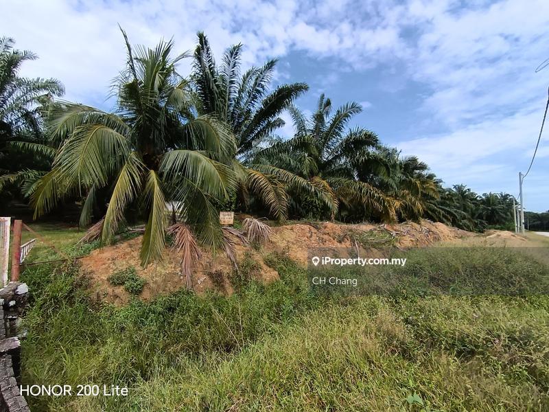 Agricultural Land for Sale in Baling, Kedah by CH Chang - iProperty.com.my