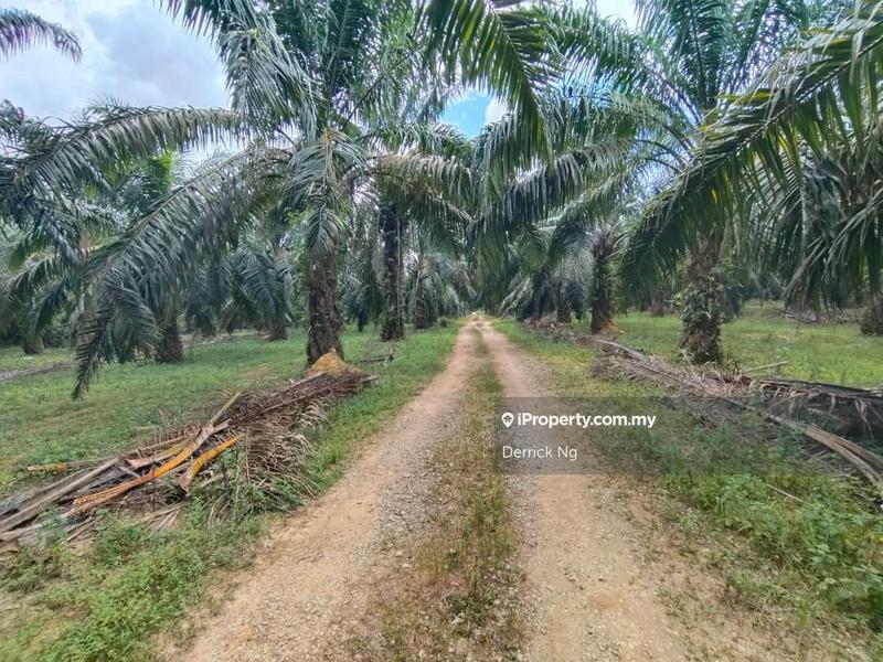 Tanah Pertanian untuk Dijual di o4snm, Gurun oleh Derrick Ng - iProperty.com.my