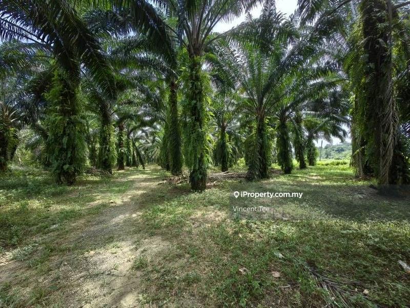 Agricultural Land for Sale in Kampung Jenderam Hulu, Dengkil by Vincent Tee - iProperty.com.my