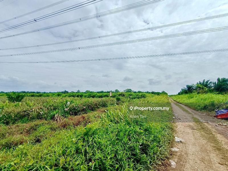 Agricultural Land for Sale in Pekan Nenas, Jeram Batu by Allen Tan - iProperty.com.my