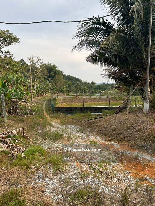 Agricultural Land for Sale in Kuala Sedili, Mawai, Kota Tinggi by Eva Tan - iProperty.com.my