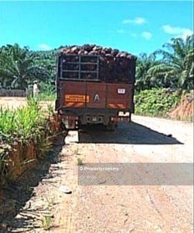 Tanah Pertanian untuk Dijual di Taman Gua Musang, Gua Musang oleh CY Khoo - iProperty.com.my