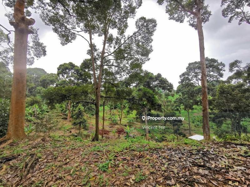 Tanah Pertanian untuk Dijual di Bukit Relau, Balik Pulau oleh Vincent Tee - iProperty.com.my