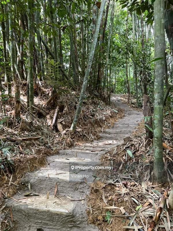 Agricultural Land for Sale in Janda Baik, Bentong by Vivian Ho - iProperty.com.my